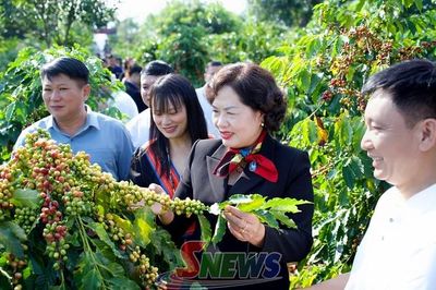 Đồng chí Phó Chủ tịch Quốc hội thăm nhà máy chế biến cà phê và mô hình nông nghiệp, du lịch tại Sơn La