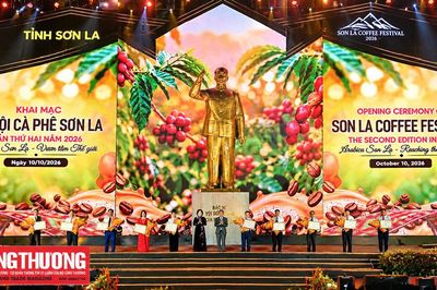 Lễ hội Cà phê Sơn La 2026: Đưa Arabica vươn tầm thế giới