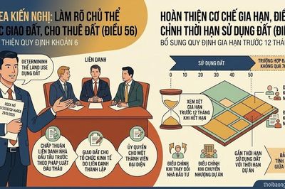 Giao đất không qua đấu giá, đấu thầu: HoREA kiến nghị làm rõ 'luật chơi'