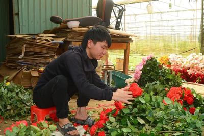 Gìn giữ sắc hoa Đà Lạt