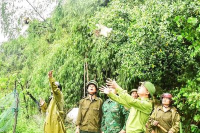Nỗ lực bảo vệ động vật hoang dã, đàn chim di cư