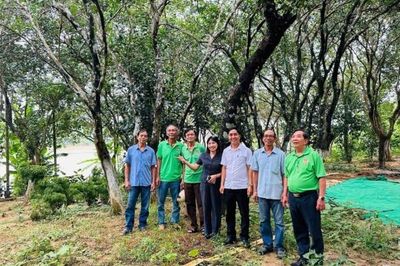 Hội Nông dân Huế thúc đẩy ứng dụng khoa học kỹ thuật trong trồng thanh trà