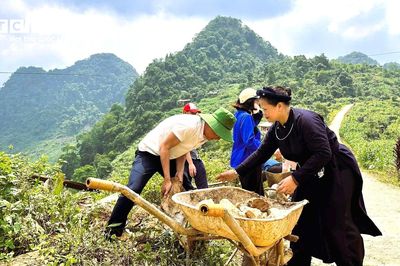 Cao Bằng: Hơn 2.300 cây lê mang hy vọng thoát nghèo cho người dân xã Hòa An