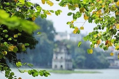 Thời tiết hôm nay 11/10 ra sao?