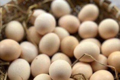5 thực phẩm giảm ê buốt răng cho người sau tuổi 70