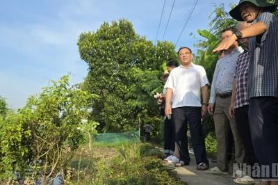 Cần Thơ rà soát các điểm đê xung yếu trước nguy cơ triều cường lập đỉnh lịch sử