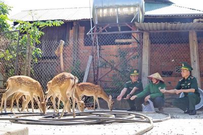 Đảng viên quân hàm xanh giúp dân thoát nghèo