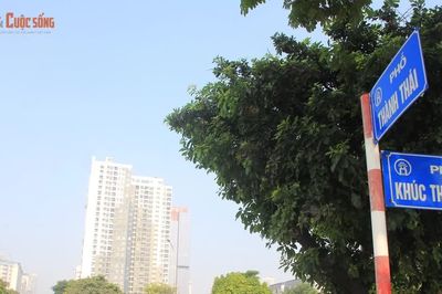 [GALLERY] Cận cảnh phố Thành Thái sắp thí điểm không gian văn hóa, phố đi bộ