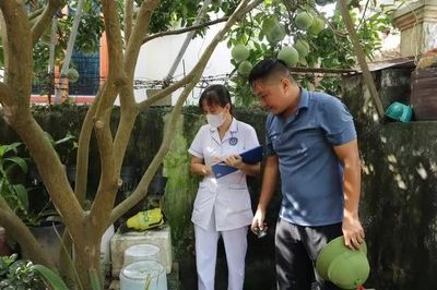 Hà Nội ghi nhận 400 trường hợp mắc sốt xuất huyết trong tuần qua