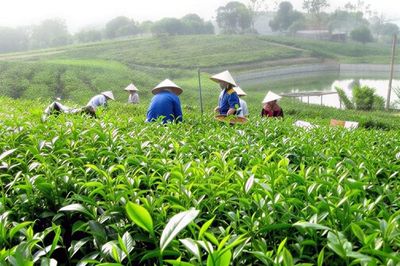 Khoa học, công nghệ và hạ tầng số: Đòn bẩy phát triển vùng đồng bào dân tộc thiểu số