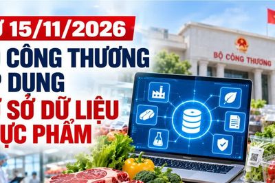 Từ ngày 15/11/2026, áp dụng cơ sở dữ liệu thực phẩm thuộc quản lý của Bộ Công Thương