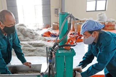 Đảng viên làm kinh tế: Khơi thông nguồn lực, phát huy vai trò tiên phong