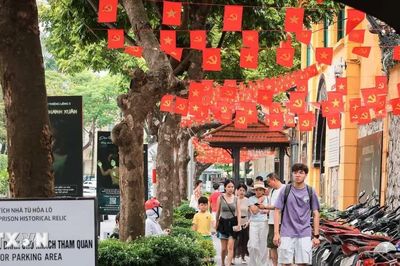 Mỗi tuyến phố Hà Nội sẽ có một loài cây chủ đạo làm yếu tố nhận diện cảnh quan