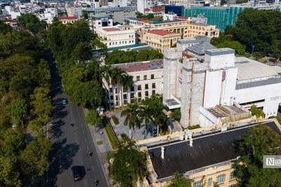 Hà Nội định hướng mỗi tuyến phố trồng một loài cây xanh chủ đạo