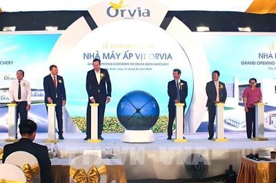 Tây Ninh khánh thành nhà máy ấp vịt 10 triệu USD, công suất 21 triệu con/năm