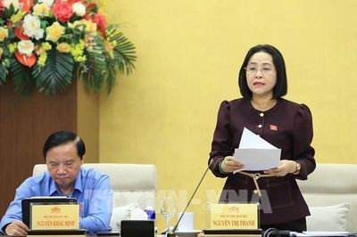 Cử tri kiến nghị nâng hiệu quả điều hành, tháo gỡ khó khăn cho người dân và doanh nghiệp