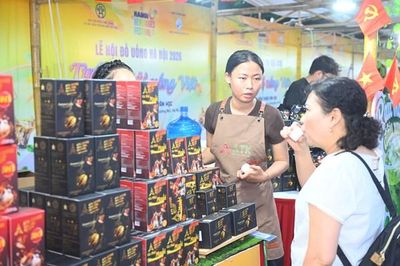Tạo dấu ấn du lịch đặc sắc từ Lễ hội Đồ uống Hà Nội năm 2026