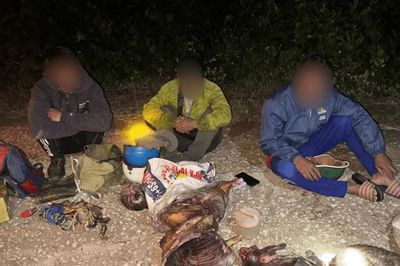 Phát hiện 3 người vận chuyển động vật nghi là tê tê, hoẵng