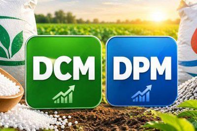 DCM, DPM lãi lớn nhờ xuất khẩu phân bón: Cổ phiếu về vùng hấp dẫn
