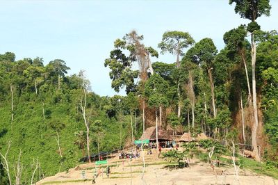 Đánh thức tiềm năng du lịch sinh thái Vườn quốc gia Sông Thanh