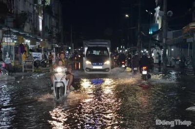 Triều cường dâng cao, người dân Đồng Tháp chật vật ứng phó