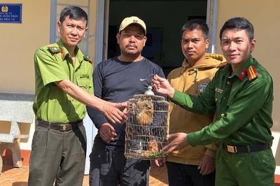 Phát hiện cu li nhỏ đi lạc vào nhà, người dân mang đến Công an giao nộp
