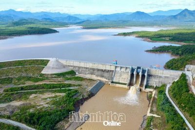 Xã Anh Dũng: Mở hướng phát triển mới trong nông nghiệp