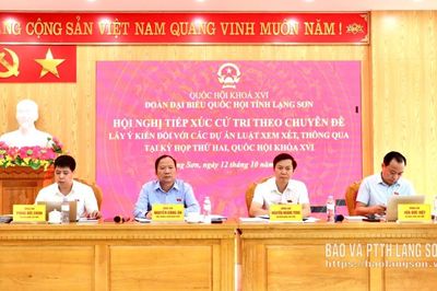 Đoàn đại biểu Quốc hội tỉnh tiếp xúc cử tri, lấy ý kiến đối với các dự án luật thuộc lĩnh vực công thương