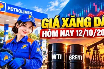Giá xăng dầu hôm nay 12/10/2026: Dầu thế giới biến động nhẹ đầu tuần