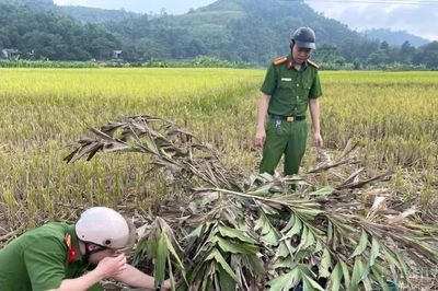 Hợp Thành tháo dỡ nhiều điểm bẫy chim hoang dã, giải cứu hơn 10 cá thể