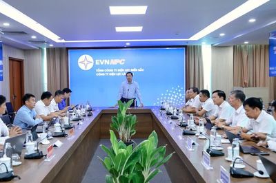 Bí thư Tỉnh ủy Dương Quốc Huy yêu cầu chủ động bảo đảm nguồn điện phục vụ phát triển kinh tế - xã hội