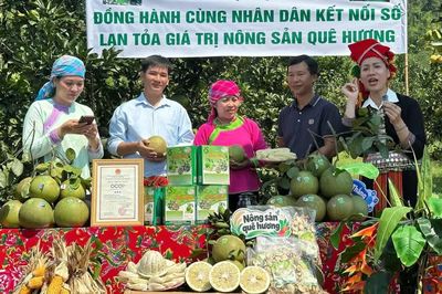Bảo Thắng: Hỗ trợ người dân livestream quảng bá và kết nối tiêu thụ nông sản địa phương