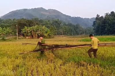 Liên tiếp phát hiện điểm bẫy chim tại nhiều địa phương