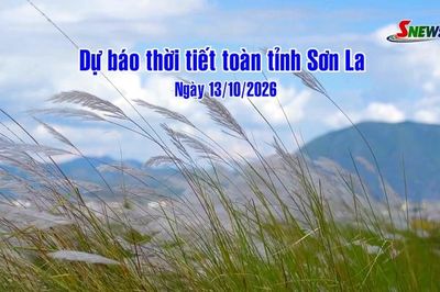 Dự báo thời tiết toàn tỉnh Sơn La ngày 13/10/2026