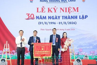 Nâng cao năng lực hệ thống Quỹ tín dụng nhân dân