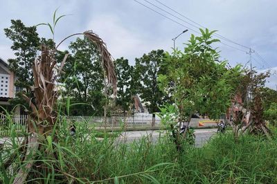 Sớm khắc phục tình trạng nhếch nhác đường Phạm Văn Đồng