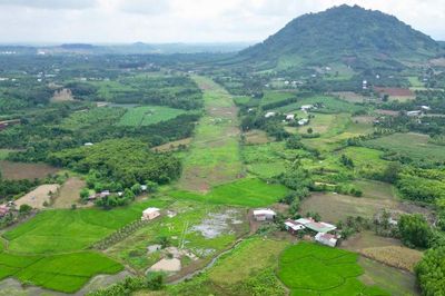 Đồng Nai tăng tốc bàn giao mặt bằng các tuyến đường kết nối sân bay Long Thành