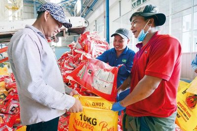 Xuất khẩu gạo: Tăng dư địa ở phân khúc giá trị cao