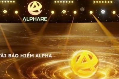 Hai cổ đông lớn dự kiến chi hơn 260 tỷ đồng mua thêm cổ phần tại doanh nghiệp tái bảo hiểm AlphaRe