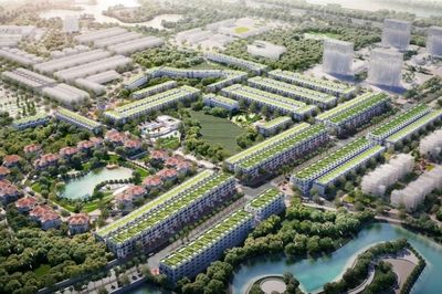 Cổ phiếu của Kosy giảm sàn 15 phiên