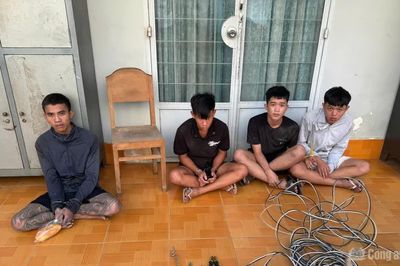 Bắt nhóm trộm dây điện, phát hiện đối tượng truy nã đặc biệt