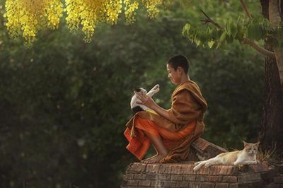 Từ bi không đồng nghĩa dung túng cho cái ác