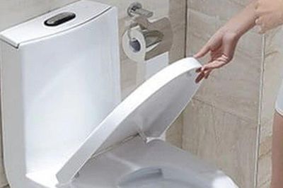 Khi xả nước bồn cầu nên đóng hay mở nắp? Nhiều người làm sai suốt nhiều năm mà không biết