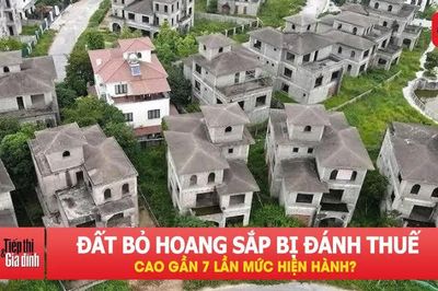 Đất bỏ hoang sắp bị đánh thuế cao gần 7 lần mức hiện hành?