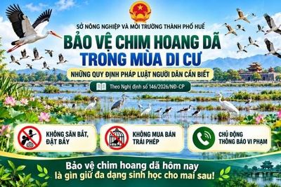Xâm hại các loài động vật hoang dã có thể bị truy cứu trách nhiệm hình sự