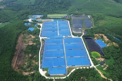 Vi phạm về môi trường, 4 trang trại chăn nuôi lợn ở Thanh Hóa bị xử phạt