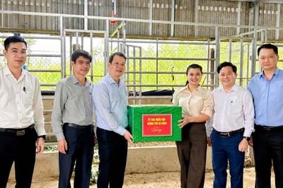 Nuôi hươu lấy nhung giúp người dân Phước Chánh tăng thu nhập