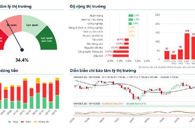 Xu hướng chứng khoán 12/10, theo dõi từng nhóm cổ phiếu