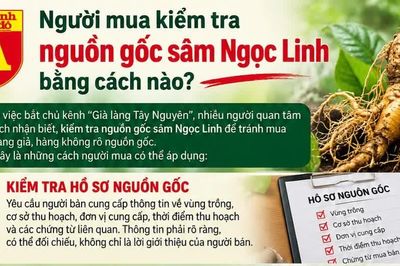 Người mua kiểm tra nguồn gốc sâm Ngọc Linh bằng cách nào?