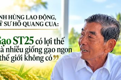 'Gạo ST25 có lợi thế mà nhiều giống gạo ngon thế giới không có'